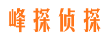 龙子湖外遇调查取证